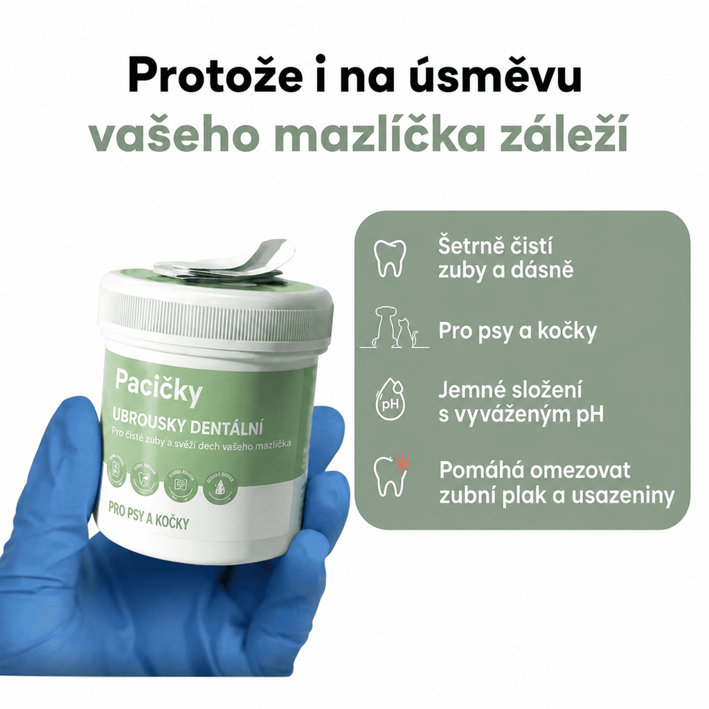 Dentální ubrousky