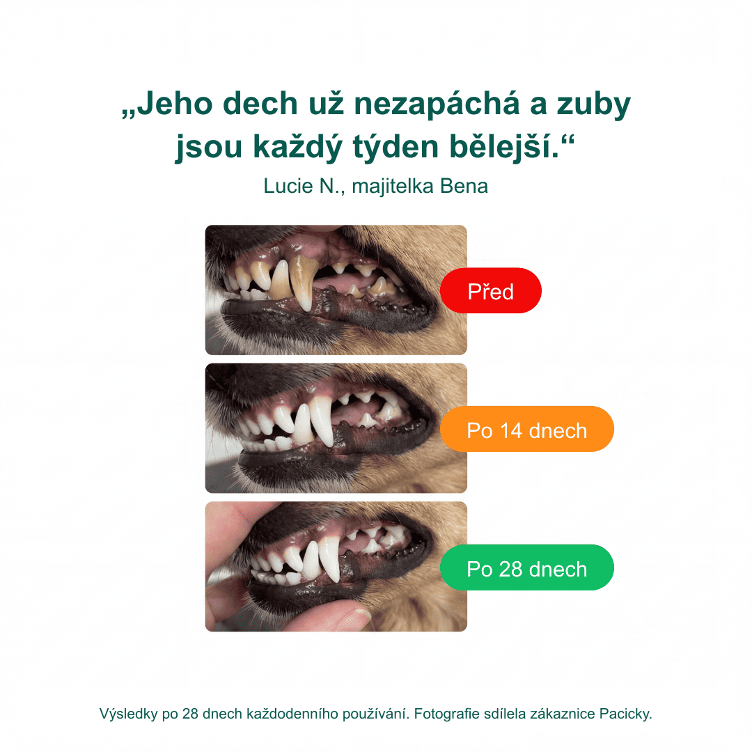 Péče o Zuby