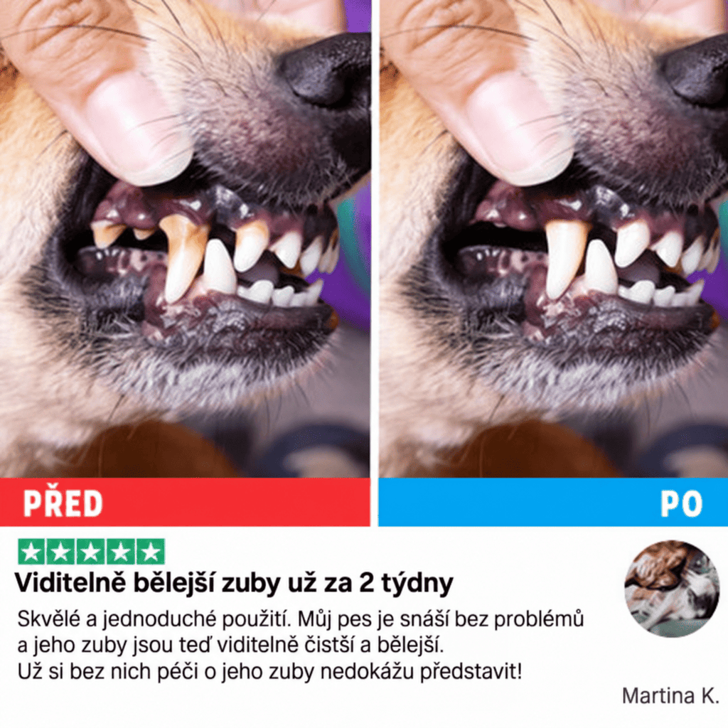 Dentální ubrousky